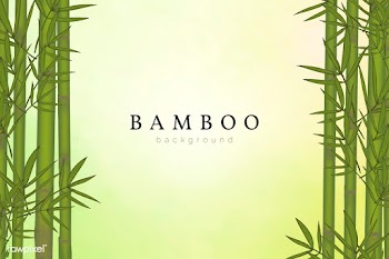 Bamboo tree background | Free stock vector - 599667