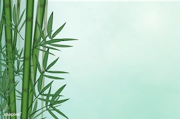 Bamboo tree background | Free stock vector - 599685