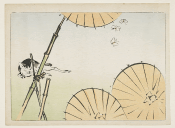 (Bamboo, umbrellas, a cat and | Free Photo - rawpixel
