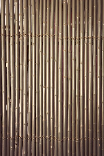 Bamboo Wall