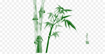 Bamboo Wallpaper - Bamboo Bamboo 