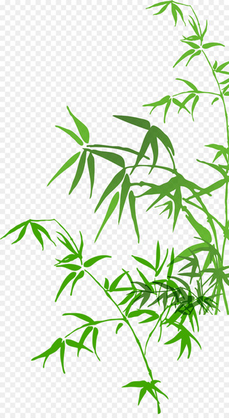 Bamboo Watercolor painting - bamboo 