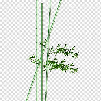 Bamboo Watercolor painting Ink wash painting, bamboo transparent background PNG clipart