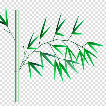 Bamboo Watercolor painting Ink wash painting, bamboo transparent background PNG clipart