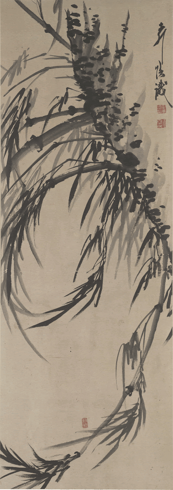 bamboo with dense foliage extending | Free Photo - rawpixel