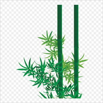 Bamboo Zongzi Leaf Bamboe - Bamboo leaves 