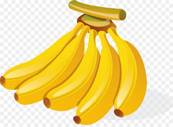 Banana Cartoon Illustration - Hand-painted golden ripe bunch of bananas 