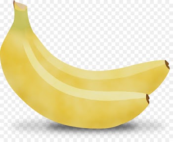 banana family banana yellow fruit cooking plantain