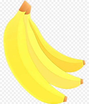 banana family banana yellow fruit cooking plantain