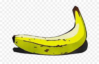 banana family banana yellow fruit cooking plantain