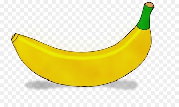 banana family banana yellow fruit plant