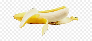 banana family banana yellow peel fruit