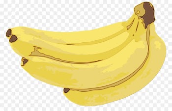 banana family banana yellow saba banana cooking plantain