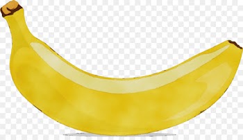 banana family yellow banana fruit plant