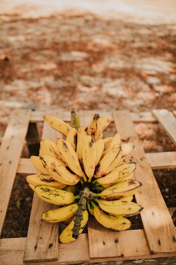 Banana Fruit 