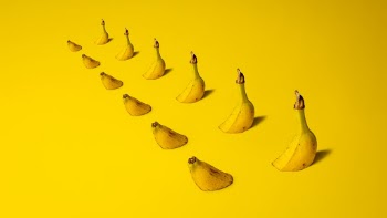 Banana Fruits