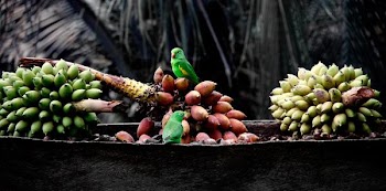 Banana Fruits on Black Concrete Surface
