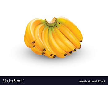 Banana in format vector image