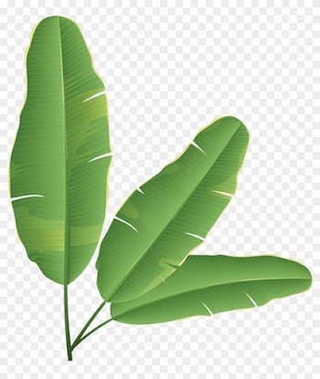 Banana Leaf Banana Bread Clip Art - Banana Leaves Clip Art