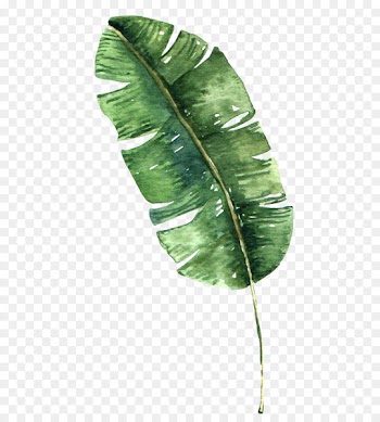 Banana Leaf, Banana, Download, Leaf, Plant PNG