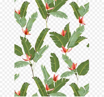 Banana leaf Banana leaf Clip art - Bamboo leaf texture material 