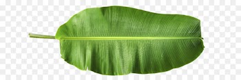 Banana leaf - banana leaves 
