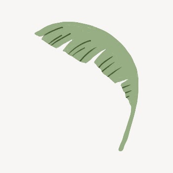 Banana leaf, botanical illustration collage | Free Vector - rawpixel
