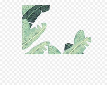 Banana leaf Euclidean vector - Vector banana leaves decorative borders 