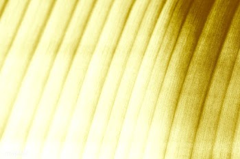 Banana leaf patterned background | Free  illustration - 2353502