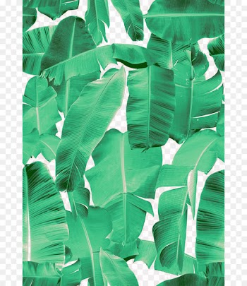 Banana Leaf Picture frame Interior Design Services Flower - Palm leaf 