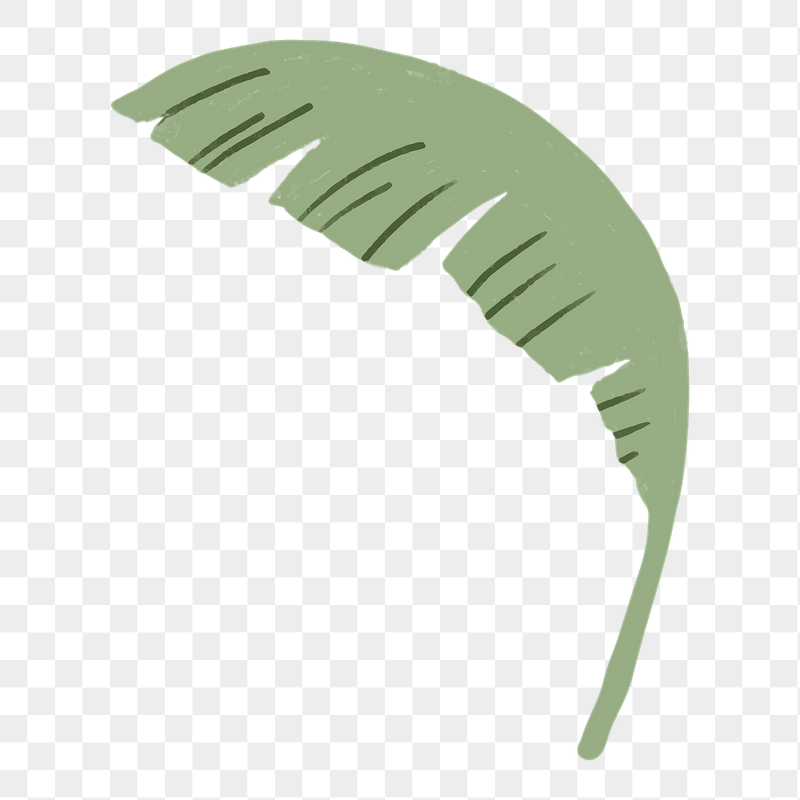 Banana leaf png sticker, botanical | Free PNG - rawpixel