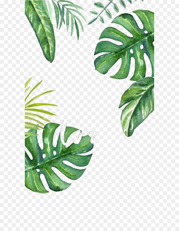 Banana leaf Wallpaper - Hand painted turtle bamboo 
