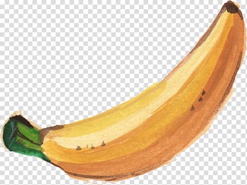 Banana leaf Watercolor painting, banana transparent background PNG clipart