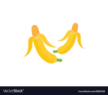 Banana logo vector image