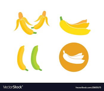 Banana logo vector image