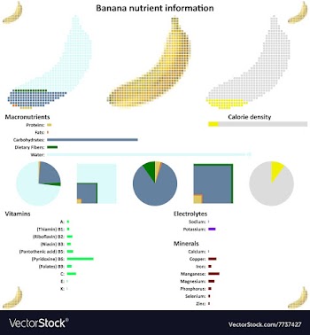 Banana nutrient information vector image