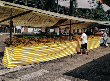 Banana Stand