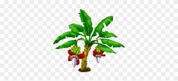 Banana Tree Stage 2 - Hay Day Banana Trees