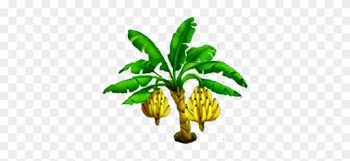 Banana Tree Stage 3 - Banana Tree With Fruit