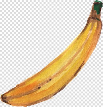 Banana Watercolor painting Paper , banana transparent background PNG clipart