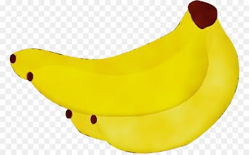 banana yellow banana family plant fruit