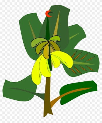 Bananas On The Tree - Banana Tree Tree Clip Art