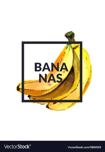 Bananas Watercolor vector image