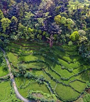 Banaue Rice Terraces, Philippines