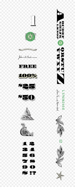 Banknote Graphic design - Banknotes decorative elements 