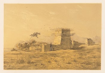 Banks of the nile near beni | Free Photo - rawpixel