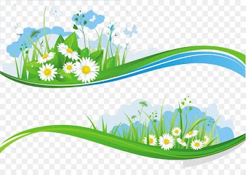 Banner Sky Flower Illustration - Small green daisy flower box 