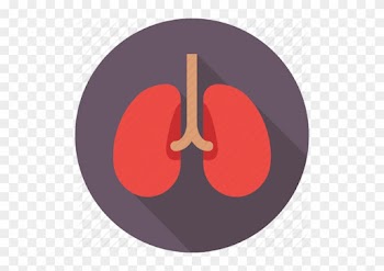 Banner Transparent Library Medical And Health By Stall - Circle