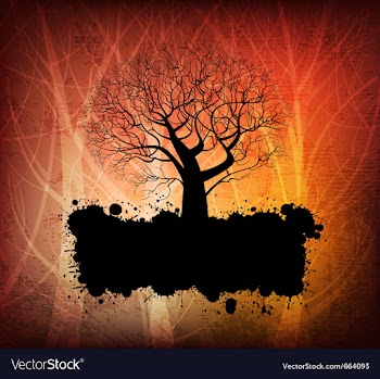 Banner vector image