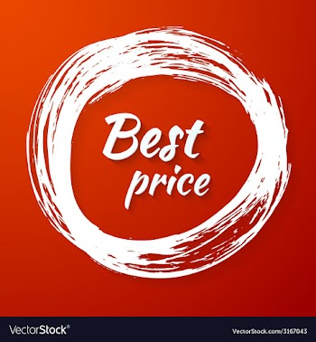 Banner with text - best price vector image